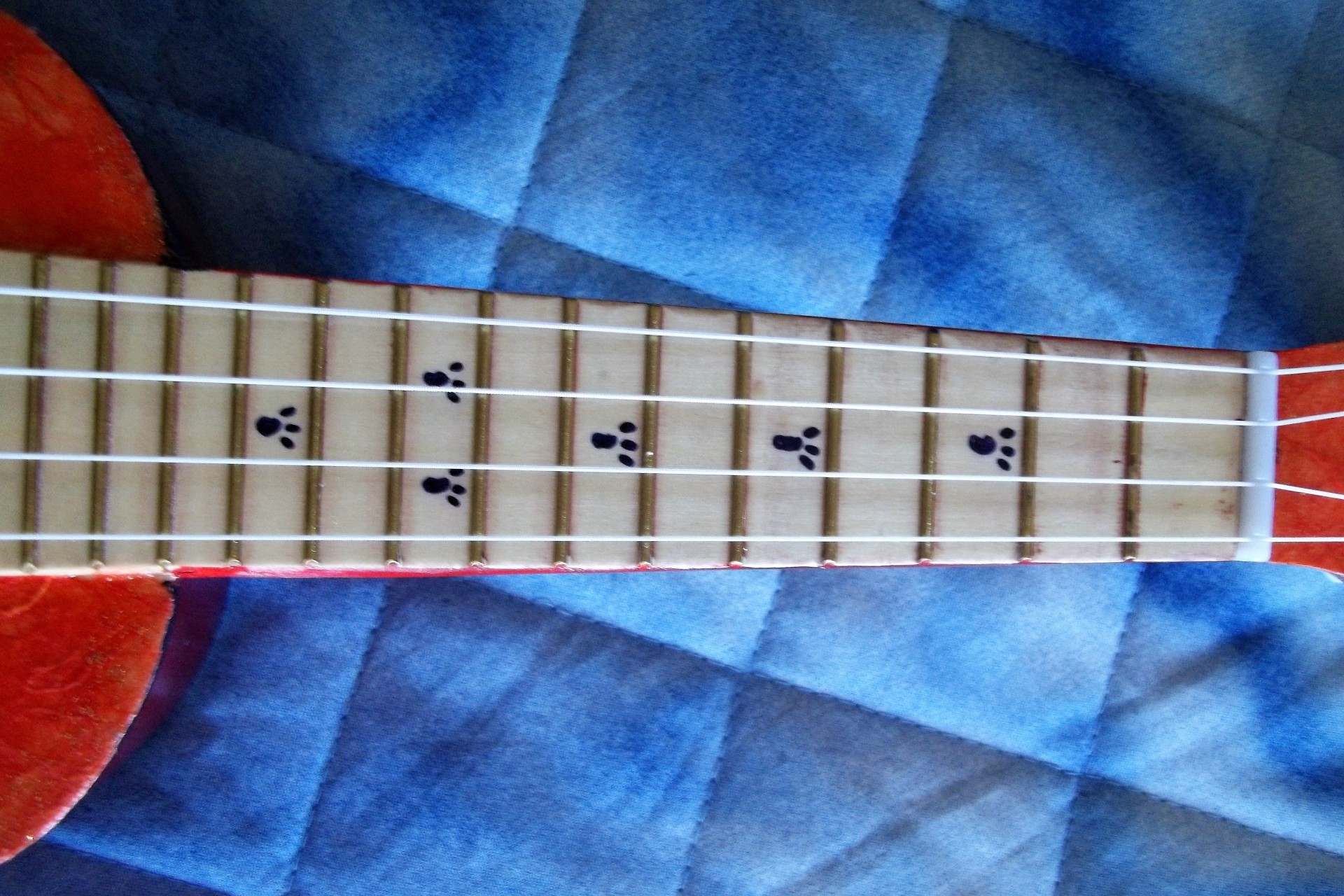 Ukulele del Gatto - foto 2