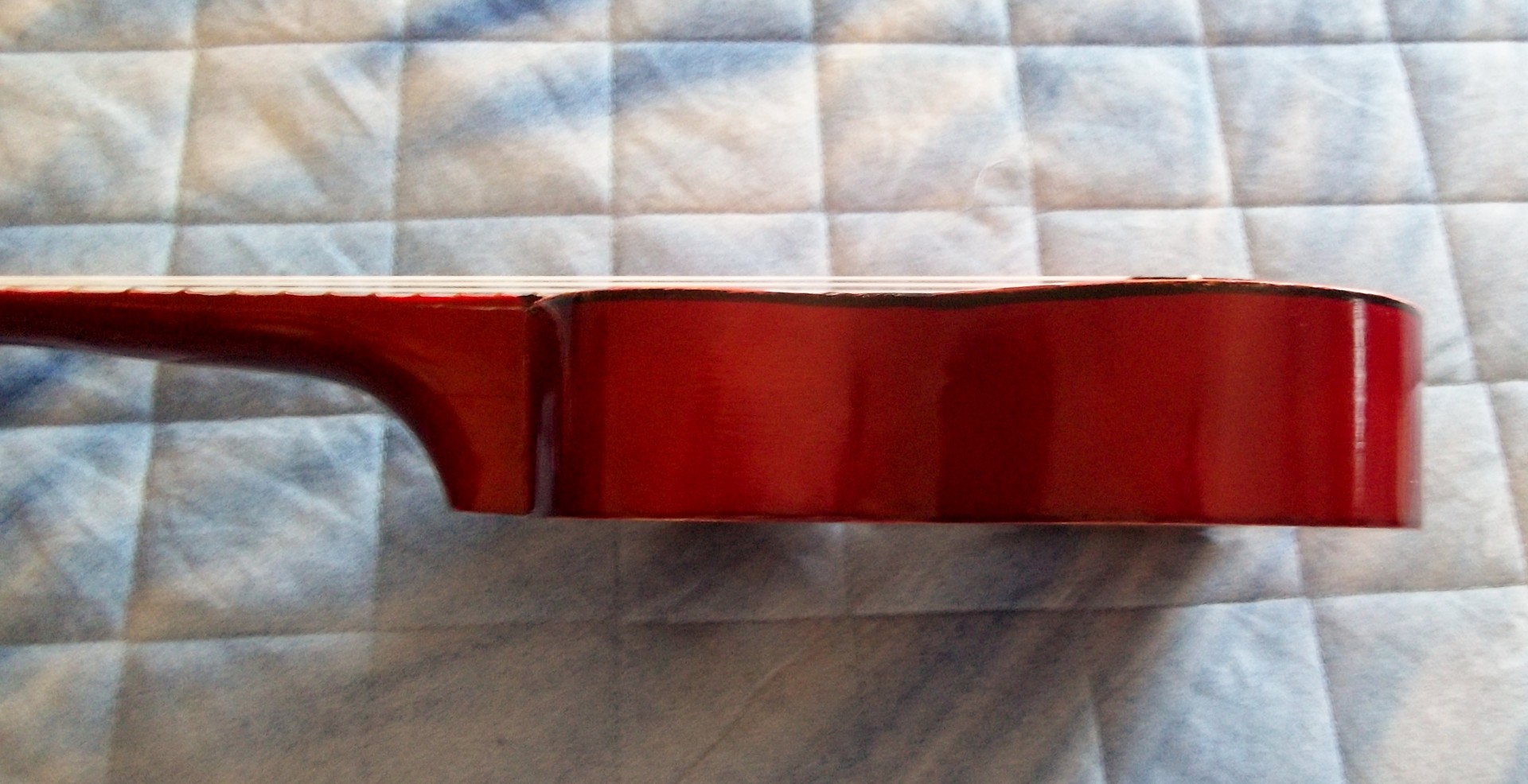 Ukulele del Gatto - foto 3